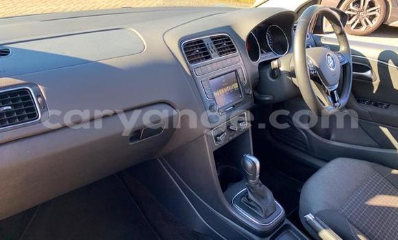 Buy Used Volkswagen Polo Silver Car in Otjiwarongo in Namibia Buy Used Volkswagen Polo Silver Car in Otjiwarongo in Namibia