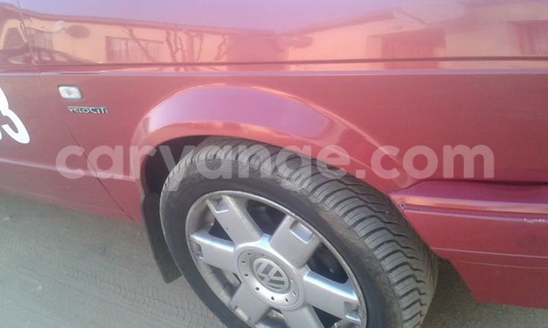 Big with watermark 14232403 934589686646193 5523274578925004365 n