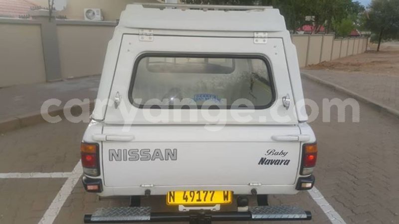 Big with watermark 55491798 2614350611940275 8311173626598522880 o