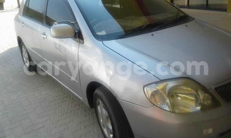 Big with watermark 14222267 147467935702852 5994953269521711437 n