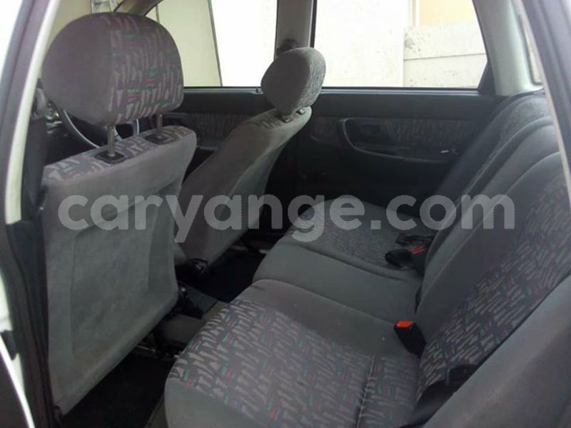 Big with watermark 56325173 2280413888837267 8727588315311636480 n