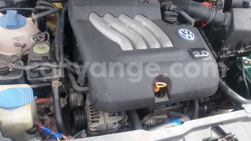 Big with watermark 55719458 2280448195500503 3028165081432064000 n