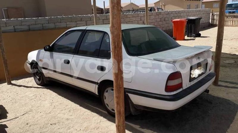 Big with watermark 55937517 2279221038956552 7954157261847265280 n