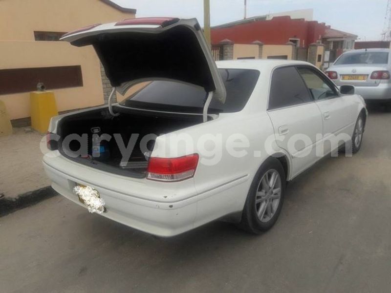 Big with watermark 53745040 2270002146545108 4371022293409726464 n