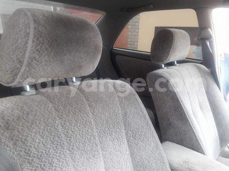 Big with watermark 53450779 2270002059878450 1610702788579295232 n