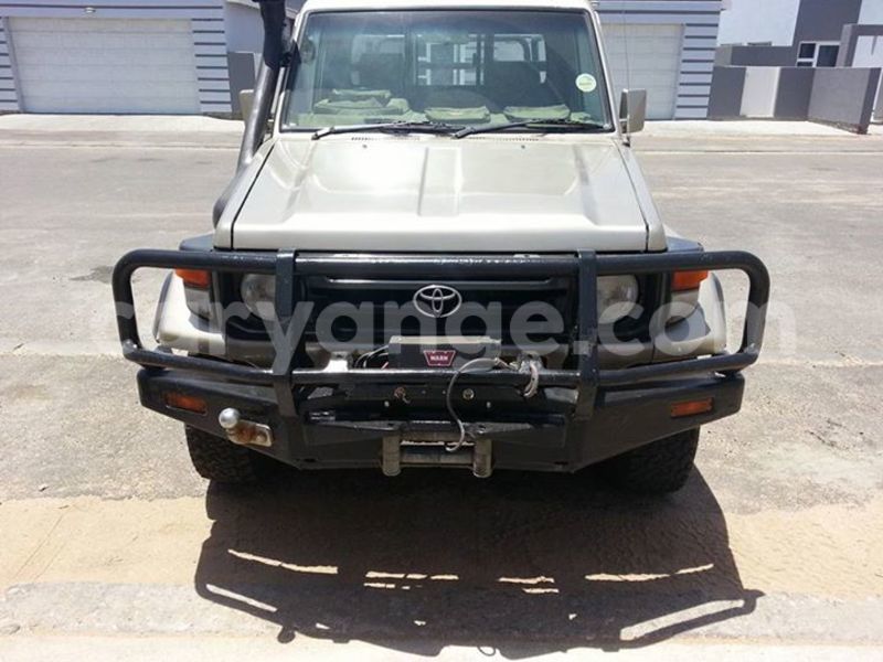 Big with watermark 14222267 147467935702852 5994953269521711437 n