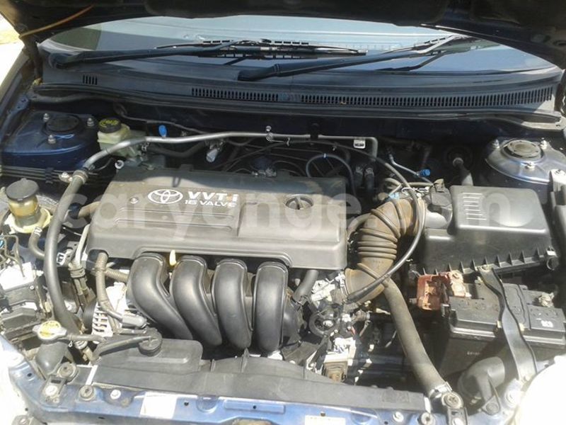 Big with watermark 14222267 147467935702852 5994953269521711437 n