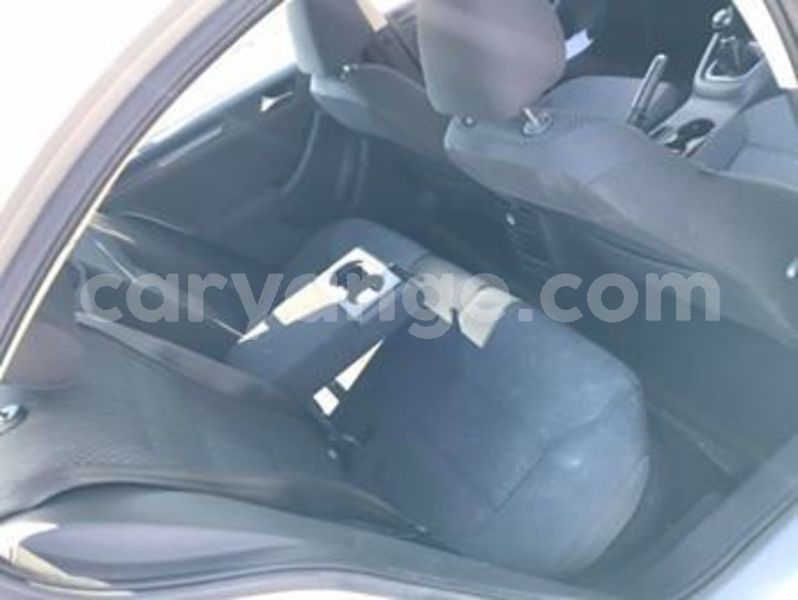 Big with watermark 56578086 278226439775659 8670832856525701120 n