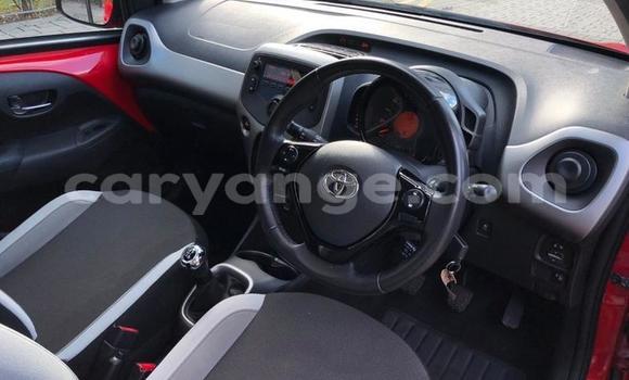 Buy Used Toyota Aygo Red Car in Katima Mulilo in Caprivi Buy Used Toyota Aygo Red Car in Katima Mulilo in Caprivi