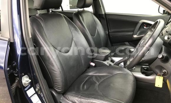 Buy Used Toyota RAV4 Blue Car in Keetmanshoop in Namibia Buy Used Toyota RAV4 Blue Car in Keetmanshoop in Namibia