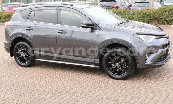 Buy Used Toyota RAV4 Other Car in Leonardville in Omaheke Buy Used Toyota RAV4 Other Car in Leonardville in Omaheke