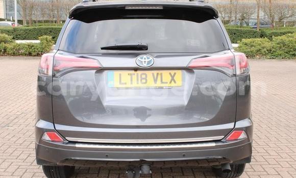 Buy Used Toyota RAV4 Other Car in Leonardville in Omaheke Buy Used Toyota RAV4 Other Car in Leonardville in Omaheke