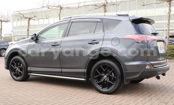 Buy Used Toyota RAV4 Other Car in Leonardville in Omaheke Buy Used Toyota RAV4 Other Car in Leonardville in Omaheke