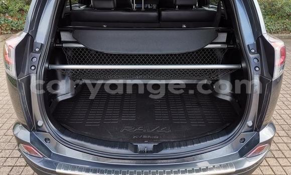 Buy Used Toyota RAV4 Other Car in Leonardville in Omaheke Buy Used Toyota RAV4 Other Car in Leonardville in Omaheke