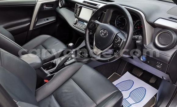 Buy Used Toyota RAV4 Other Car in Leonardville in Omaheke Buy Used Toyota RAV4 Other Car in Leonardville in Omaheke