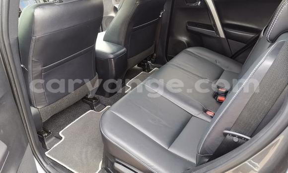 Buy Used Toyota RAV4 Other Car in Leonardville in Omaheke Buy Used Toyota RAV4 Other Car in Leonardville in Omaheke