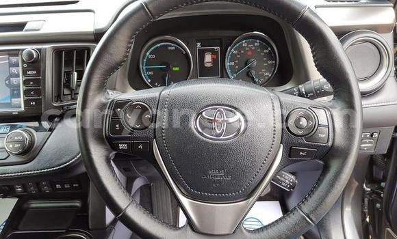 Buy Used Toyota RAV4 Other Car in Leonardville in Omaheke Buy Used Toyota RAV4 Other Car in Leonardville in Omaheke