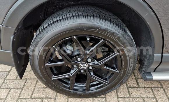Buy Used Toyota RAV4 Other Car in Leonardville in Omaheke Buy Used Toyota RAV4 Other Car in Leonardville in Omaheke