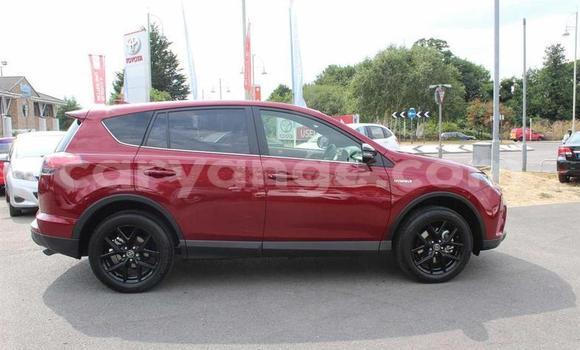 Buy Used Toyota RAV4 Red Car in Okakarara in Otjozondjupa Buy Used Toyota RAV4 Red Car in Okakarara in Otjozondjupa