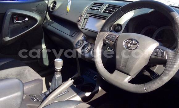 Buy Used Toyota RAV4 Silver Car in Okahandja in Namibia Buy Used Toyota RAV4 Silver Car in Okahandja in Namibia