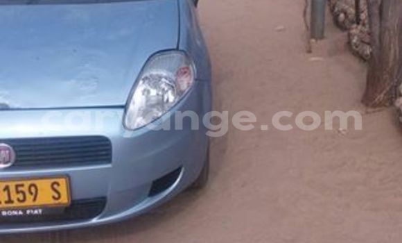 Buy Used Fiat Punto Black Car in Windhoek in Namibia