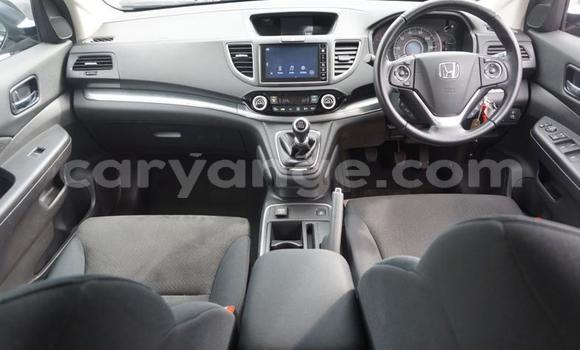 Buy Used Honda CR–V Black Car in Katima Mulilo in Caprivi Buy Used Honda CR–V Black Car in Katima Mulilo in Caprivi