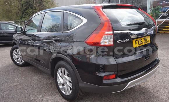 Buy Used Honda CR–V Black Car in Katima Mulilo in Caprivi Buy Used Honda CR–V Black Car in Katima Mulilo in Caprivi