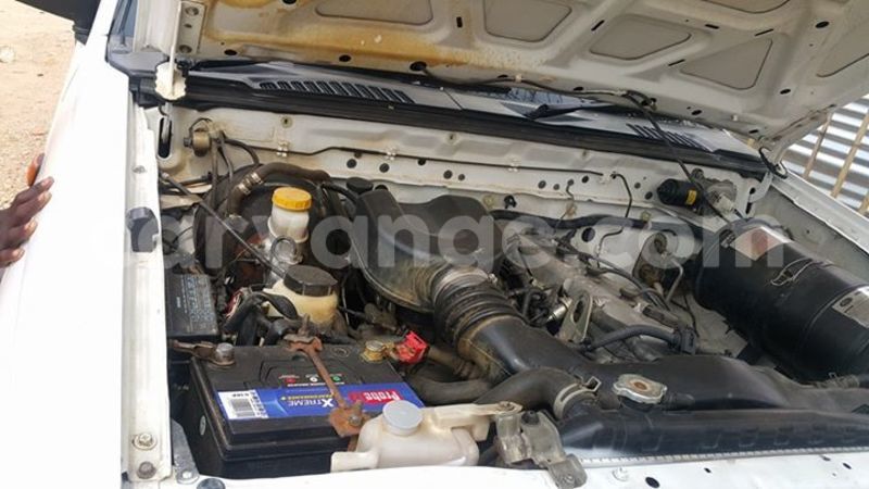 Big with watermark 14222267 147467935702852 5994953269521711437 n