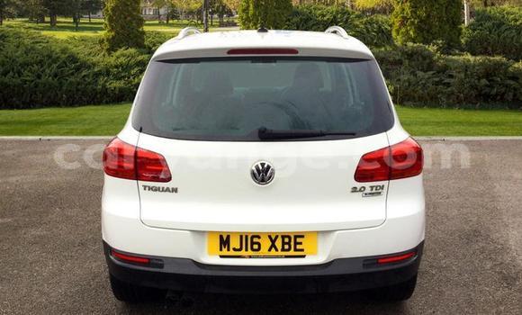 Buy Used Volkswagen Tiguan White Car in Walvis Bay in Namibia Buy Used Volkswagen Tiguan White Car in Walvis Bay in Namibia
