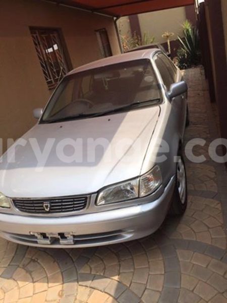 Big with watermark 14222267 147467935702852 5994953269521711437 n