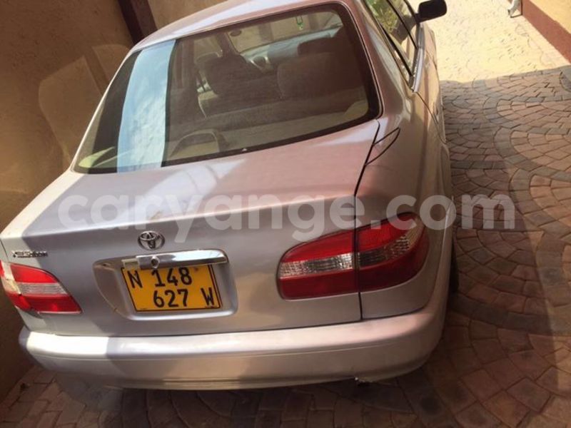 Big with watermark 14232403 934589686646193 5523274578925004365 n