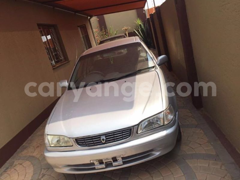 Big with watermark 14310443 10210713689346455 590130443834342475 o