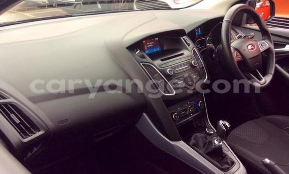 Buy Used Ford Focus Black Car in Aranos in Hardap Buy Used Ford Focus Black Car in Aranos in Hardap