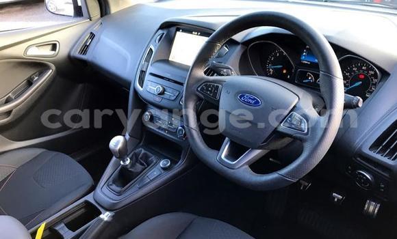 Buy Used Ford Focus White Car in Aranos in Hardap Buy Used Ford Focus White Car in Aranos in Hardap