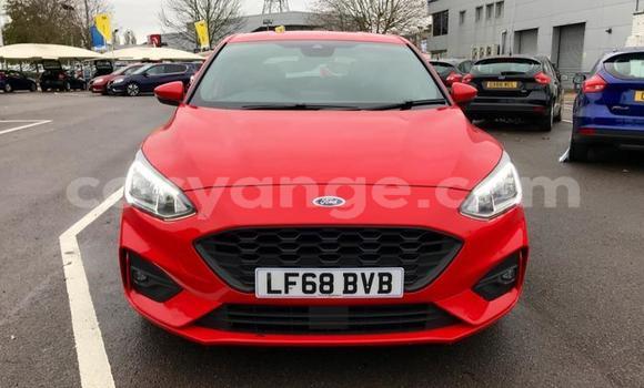 Buy Used Ford Focus Red Car in Aranos in Hardap Buy Used Ford Focus Red Car in Aranos in Hardap
