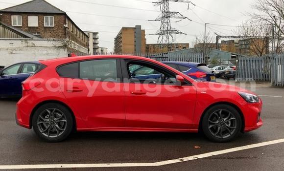 Buy Used Ford Focus Red Car in Aranos in Hardap Buy Used Ford Focus Red Car in Aranos in Hardap
