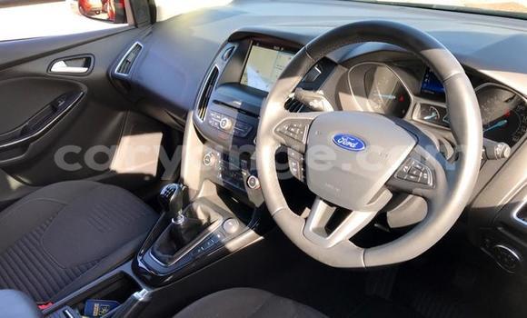 Buy Used Ford Focus Black Car in Karasburg in Karas Buy Used Ford Focus Black Car in Karasburg in Karas