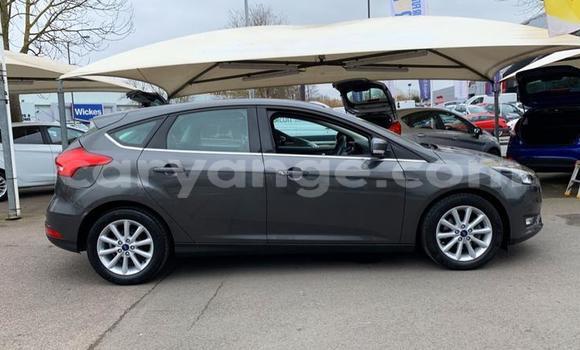 Buy Used Ford Focus Silver Car in Karibib in Erongo Buy Used Ford Focus Silver Car in Karibib in Erongo