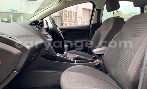 Buy Used Ford Focus Silver Car in Karibib in Erongo Buy Used Ford Focus Silver Car in Karibib in Erongo