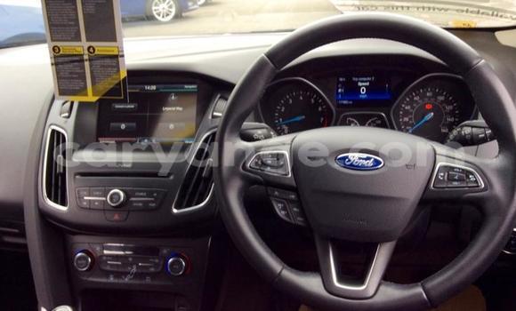 Buy Used Ford Focus Blue Car in Keetmanshoop in Namibia Buy Used Ford Focus Blue Car in Keetmanshoop in Namibia