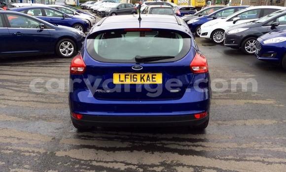 Buy Used Ford Focus Blue Car in Keetmanshoop in Namibia Buy Used Ford Focus Blue Car in Keetmanshoop in Namibia