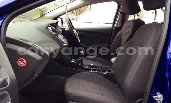 Buy Used Ford Focus Blue Car in Keetmanshoop in Namibia Buy Used Ford Focus Blue Car in Keetmanshoop in Namibia