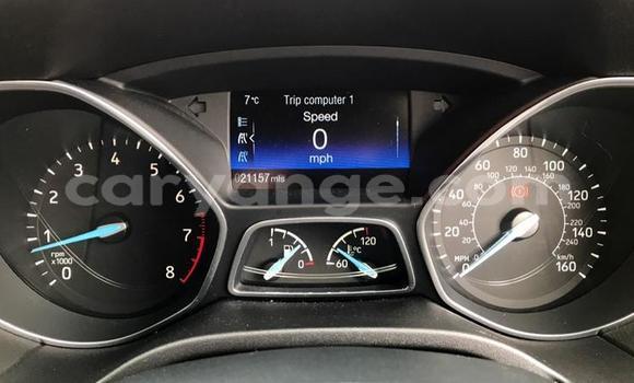 Buy Used Ford Focus Red Car in Walvis Bay in Namibia Buy Used Ford Focus Red Car in Walvis Bay in Namibia