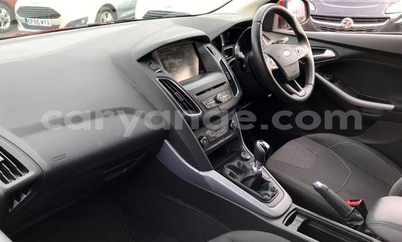 Buy Used Ford Focus Red Car in Walvis Bay in Namibia Buy Used Ford Focus Red Car in Walvis Bay in Namibia