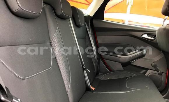 Buy Used Ford Focus Red Car in Walvis Bay in Namibia Buy Used Ford Focus Red Car in Walvis Bay in Namibia