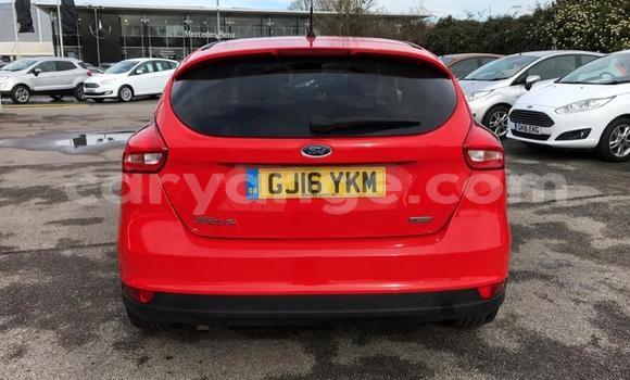 Buy Used Ford Focus Red Car in Walvis Bay in Namibia Buy Used Ford Focus Red Car in Walvis Bay in Namibia