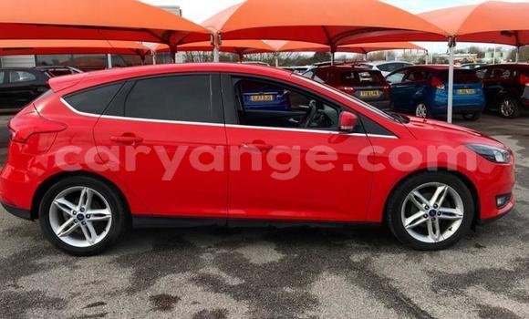 Buy Used Ford Focus Red Car in Walvis Bay in Namibia Buy Used Ford Focus Red Car in Walvis Bay in Namibia