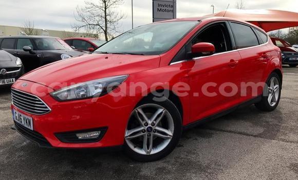 Buy Used Ford Focus Red Car in Walvis Bay in Namibia Buy Used Ford Focus Red Car in Walvis Bay in Namibia