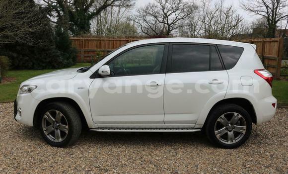 Buy Used Toyota RAV4 White Car in Windhoek in Namibia Buy Used Toyota RAV4 White Car in Windhoek in Namibia
