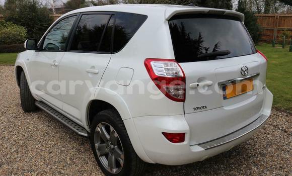 Buy Used Toyota RAV4 White Car in Windhoek in Namibia Buy Used Toyota RAV4 White Car in Windhoek in Namibia